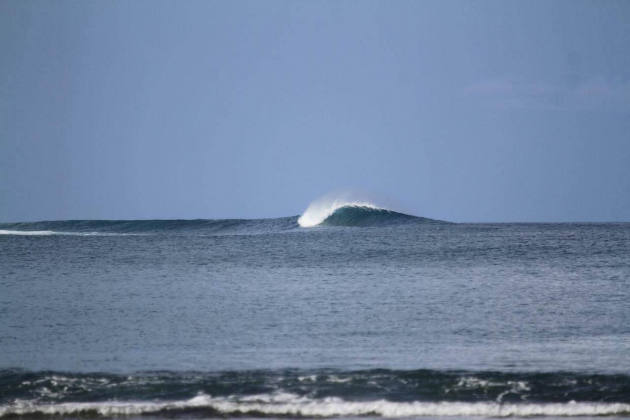ホテル Oseda Nias Surf House Hilibotodane エクステリア 写真