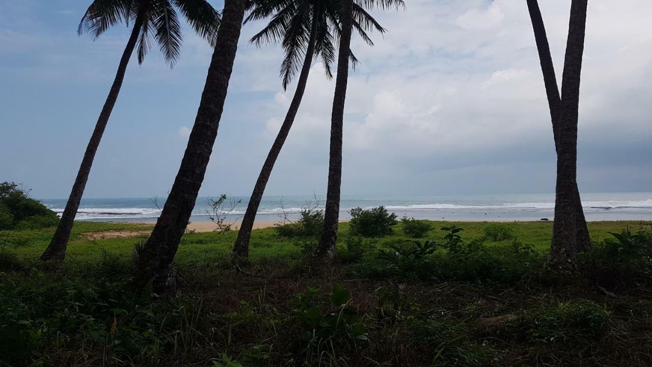 ホテル Oseda Nias Surf House Hilibotodane エクステリア 写真