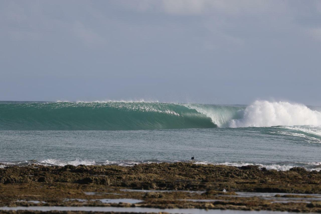 ホテル Oseda Nias Surf House Hilibotodane エクステリア 写真