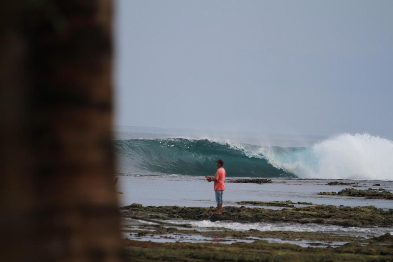 ホテル Oseda Nias Surf House Hilibotodane エクステリア 写真